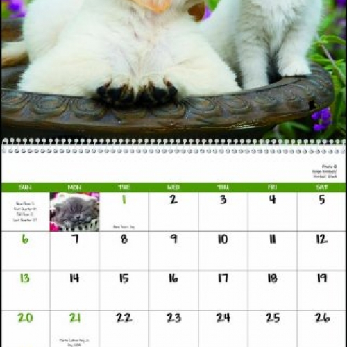Dog & Cat Calendars
